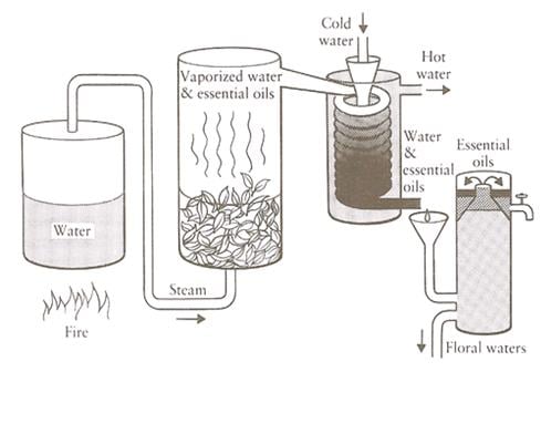 How Essential Oils Are Made: Methods of Production