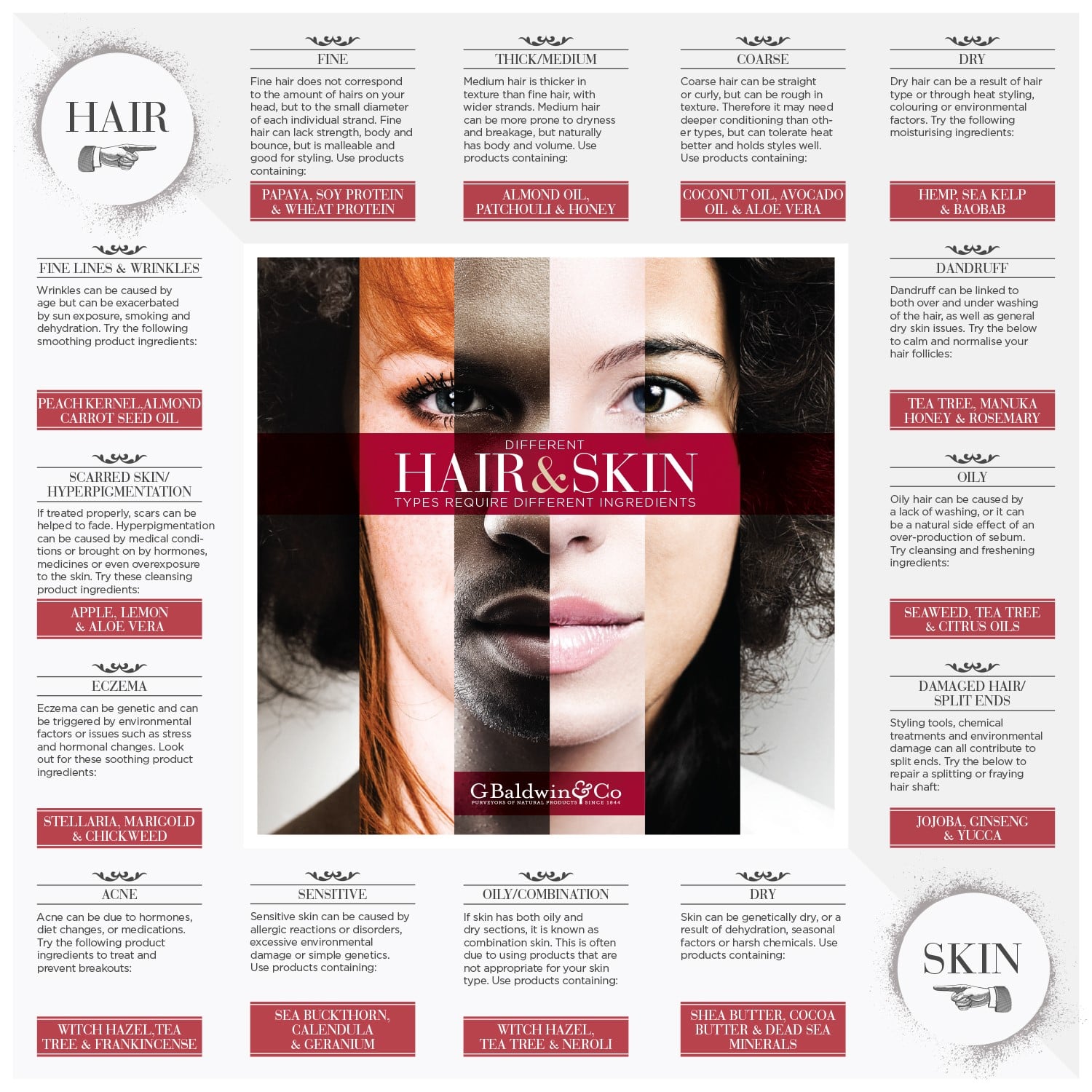 Hair & Skin Chart - Natural Ingredients To Suit Your Type