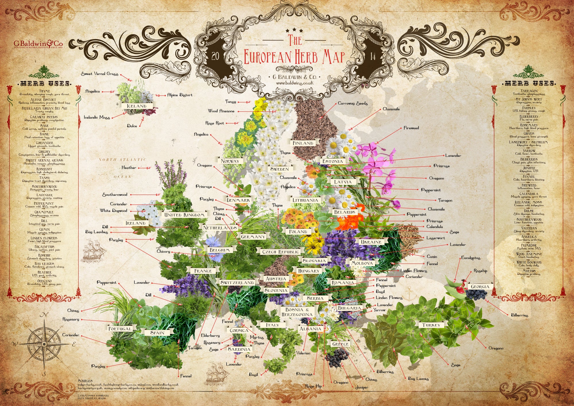 Baldwins European Herb Map - Download & Share
