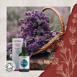  five all-natural skin tonics