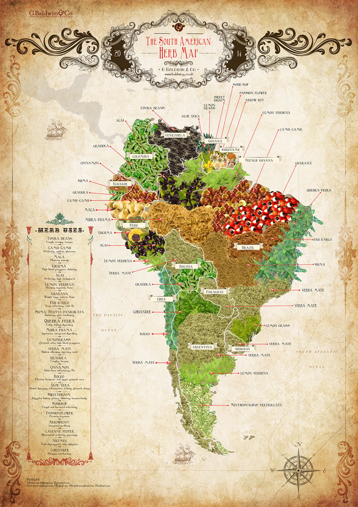 The Baldwins South American Herb Map ~ Download & Share