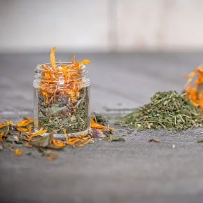 Blood Cleansing Herbs: Five of Nature’s Most Nourishing