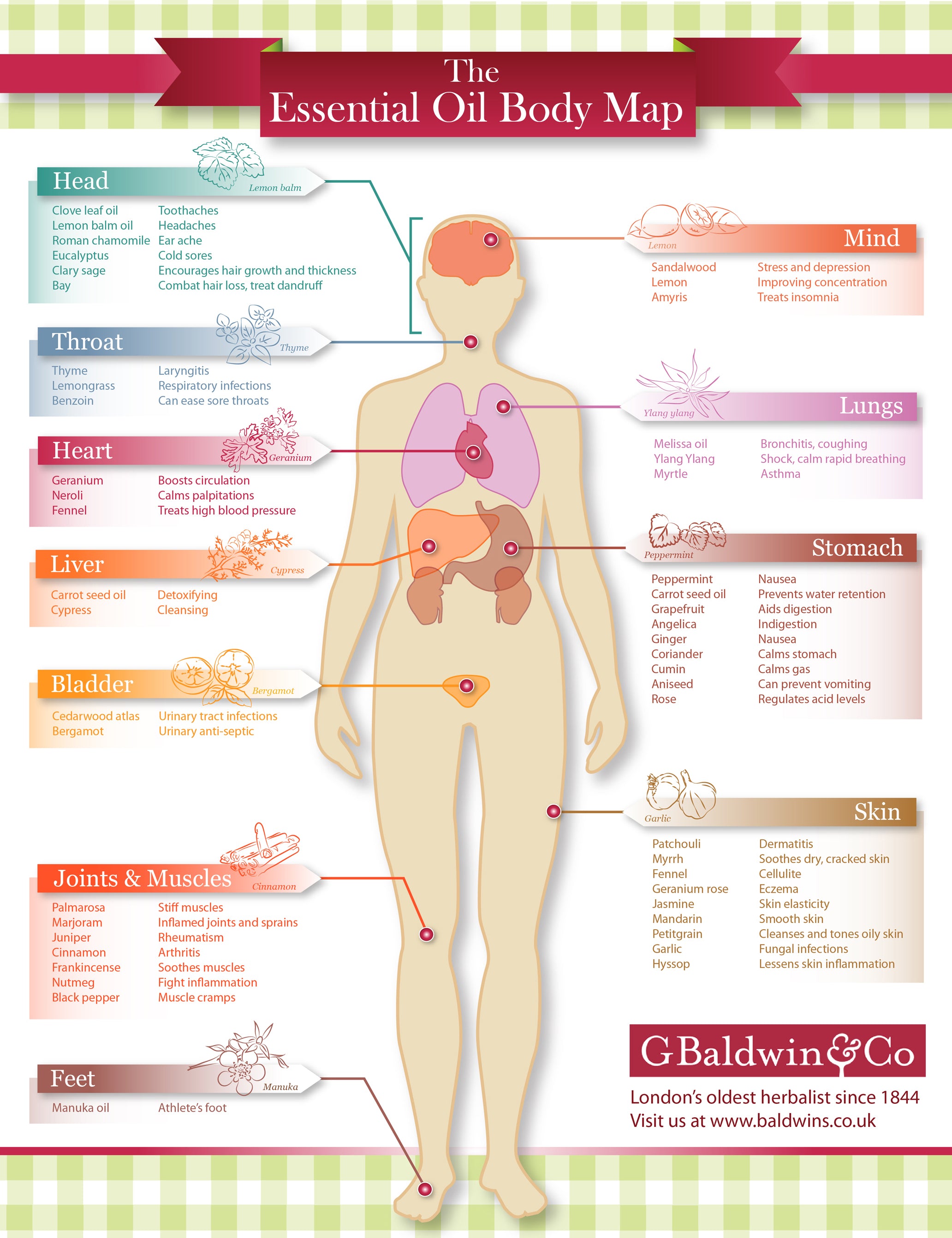 Essential Oil Body Map