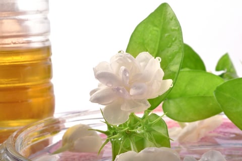 Flower Remedies FAQs
