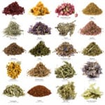 Which Of Your Herbs Compliment What Foods?