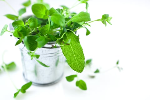 Herbal Remedies for Mother and Baby