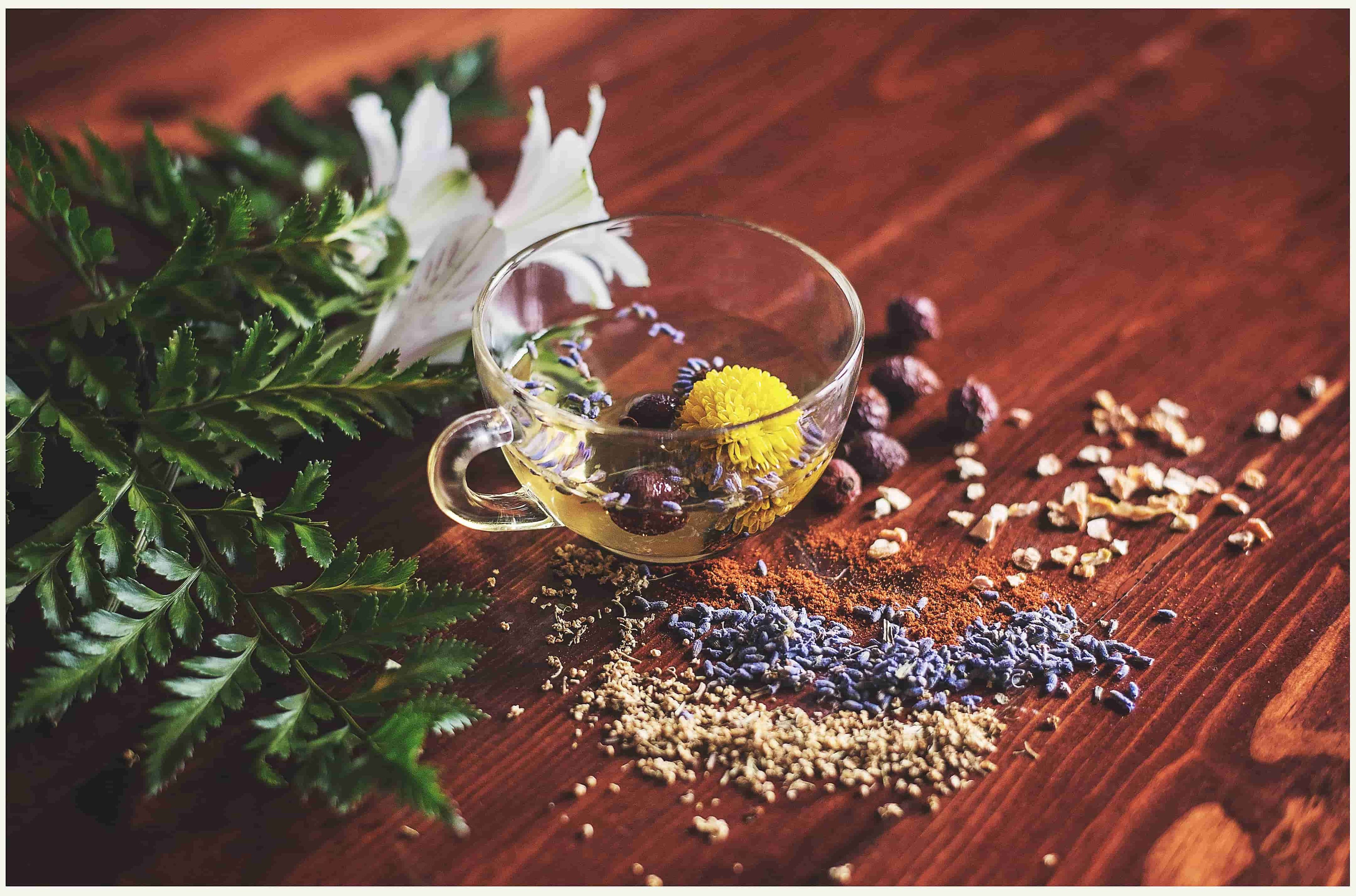 Loose herbs with cup of tea