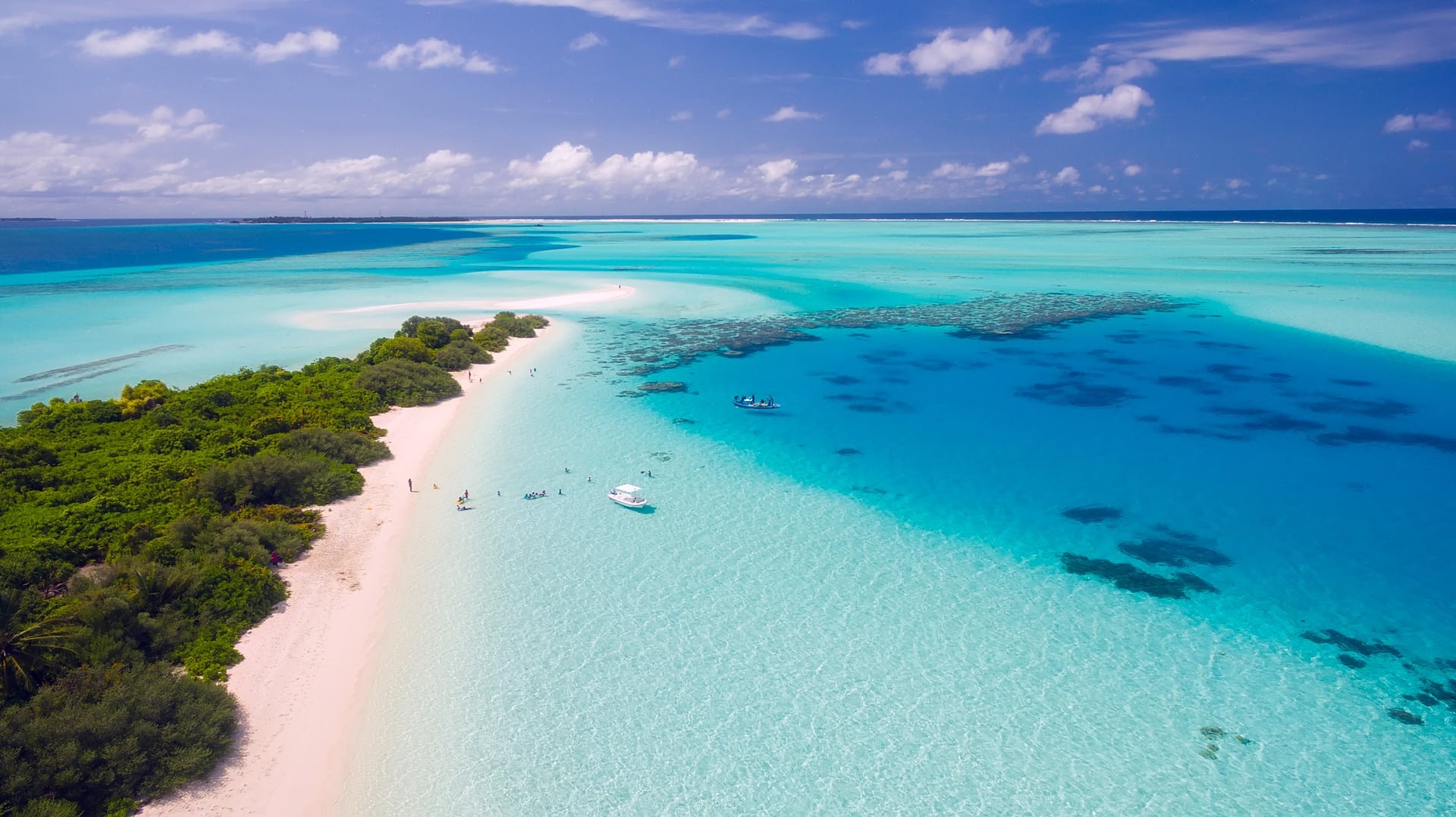 Your Natural Holiday Checklist