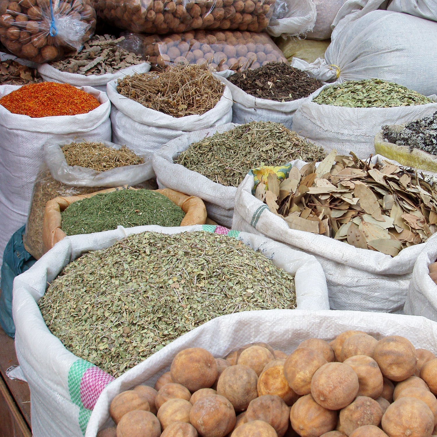 Medical Herbalist ~ Amanda Rew ~ Interview