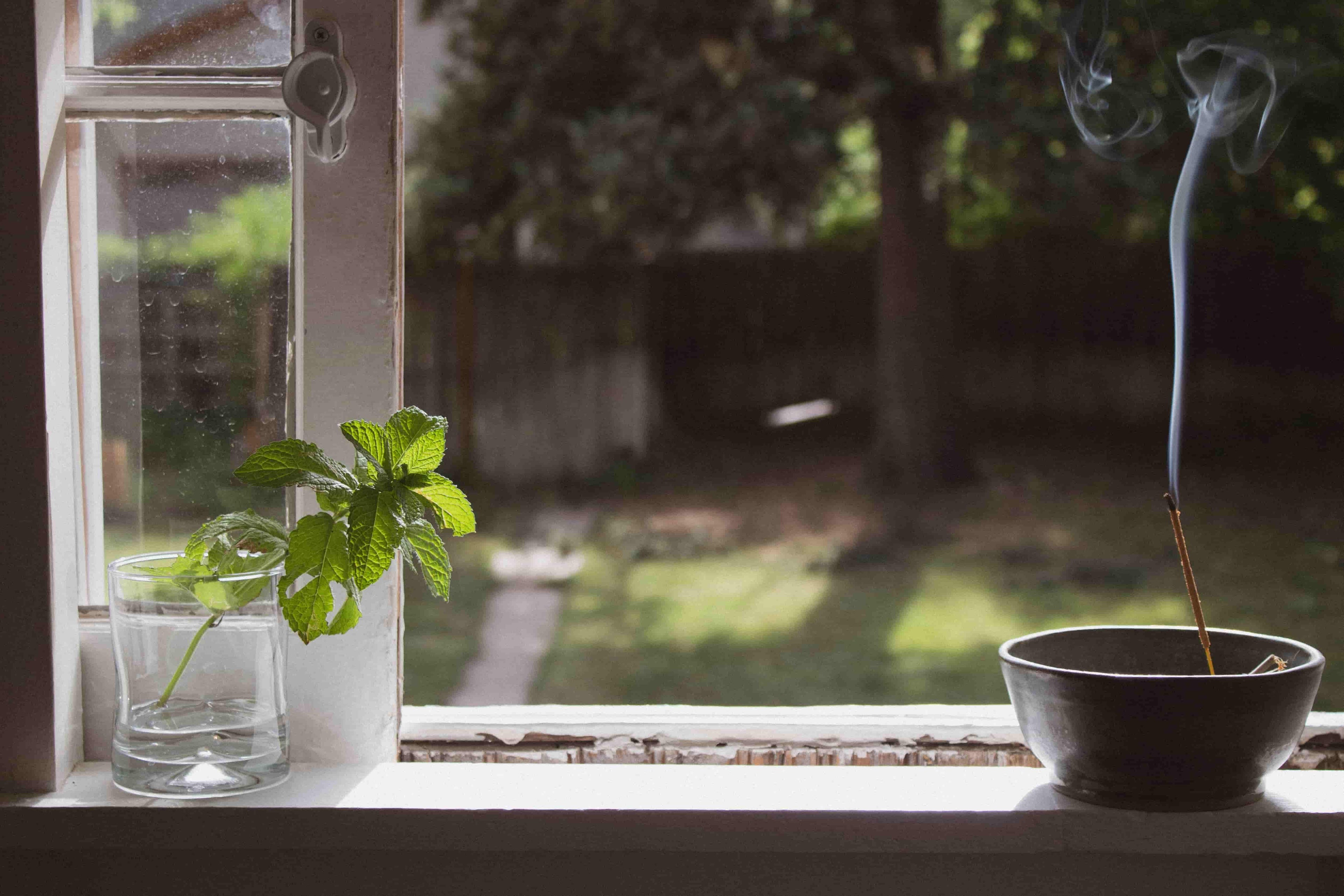 Choosing the Best Incense: A Comprehensive Guide