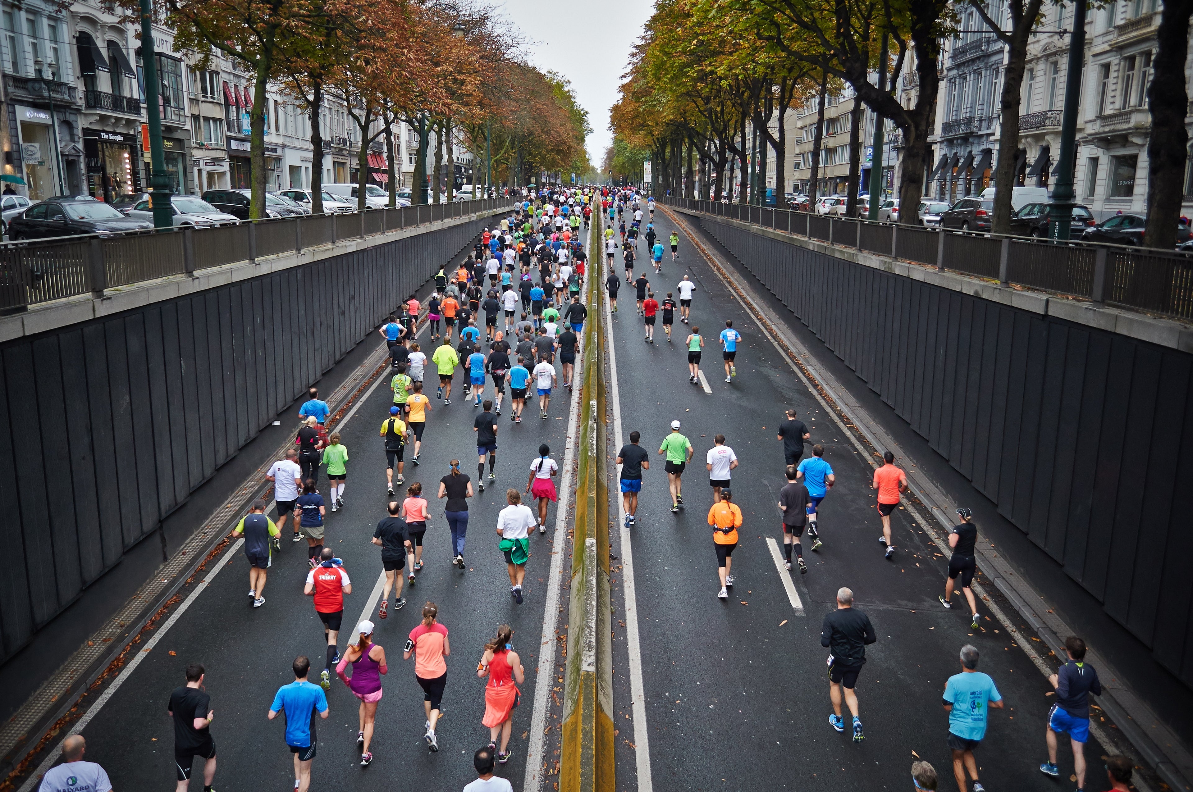 Herbal Help for Marathon Training