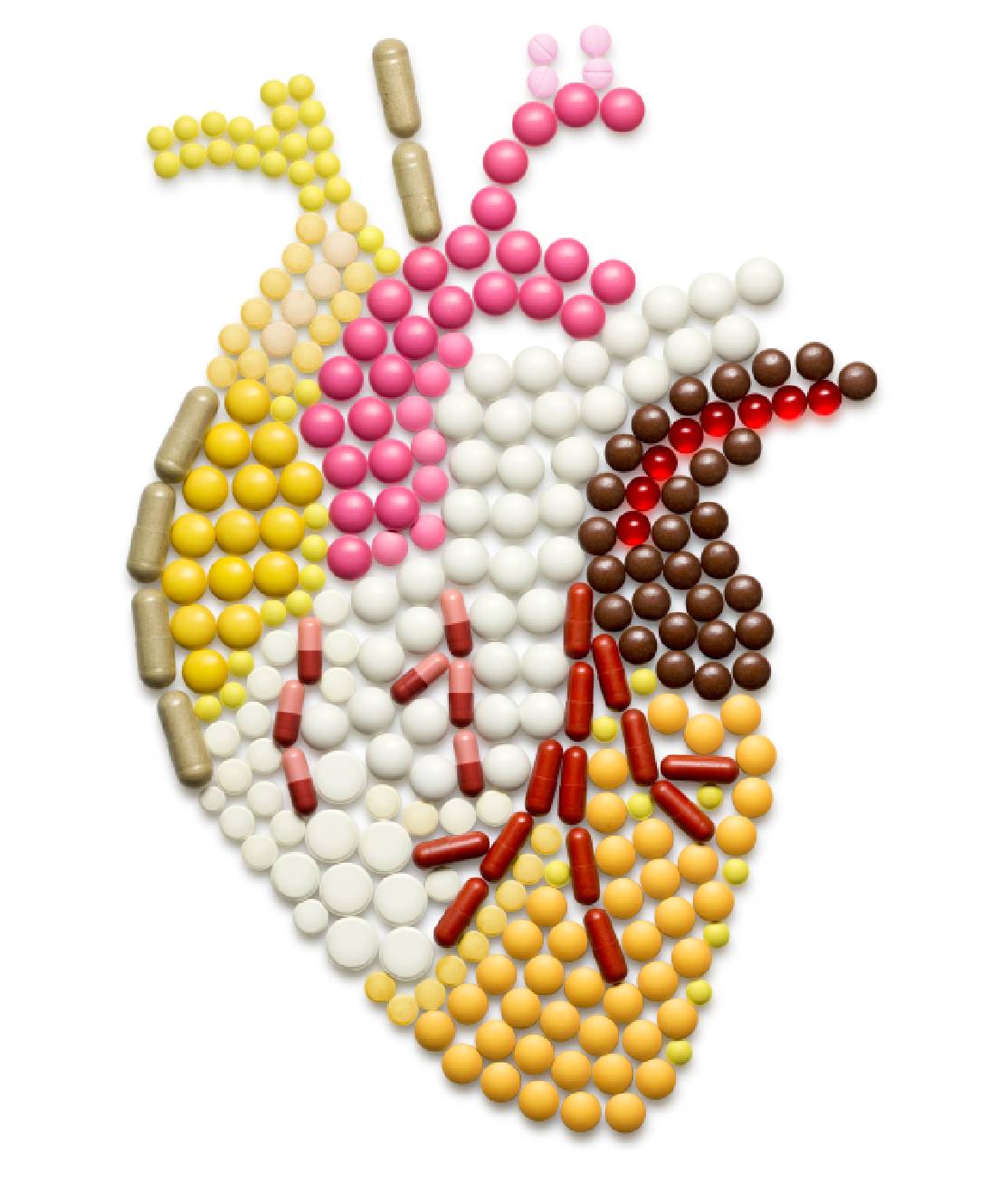 Heart & Circulation Supplements