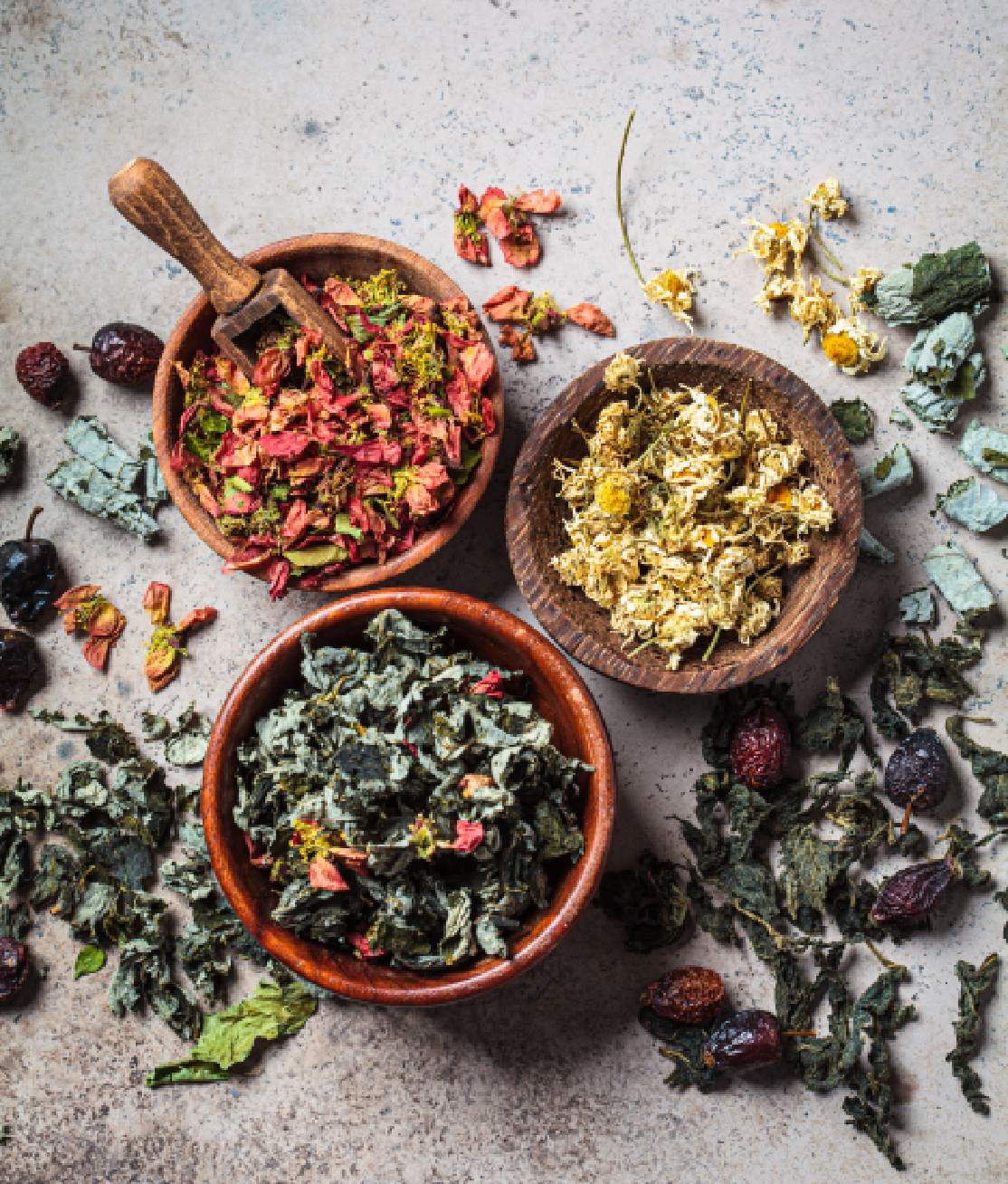 Organic Herbs
