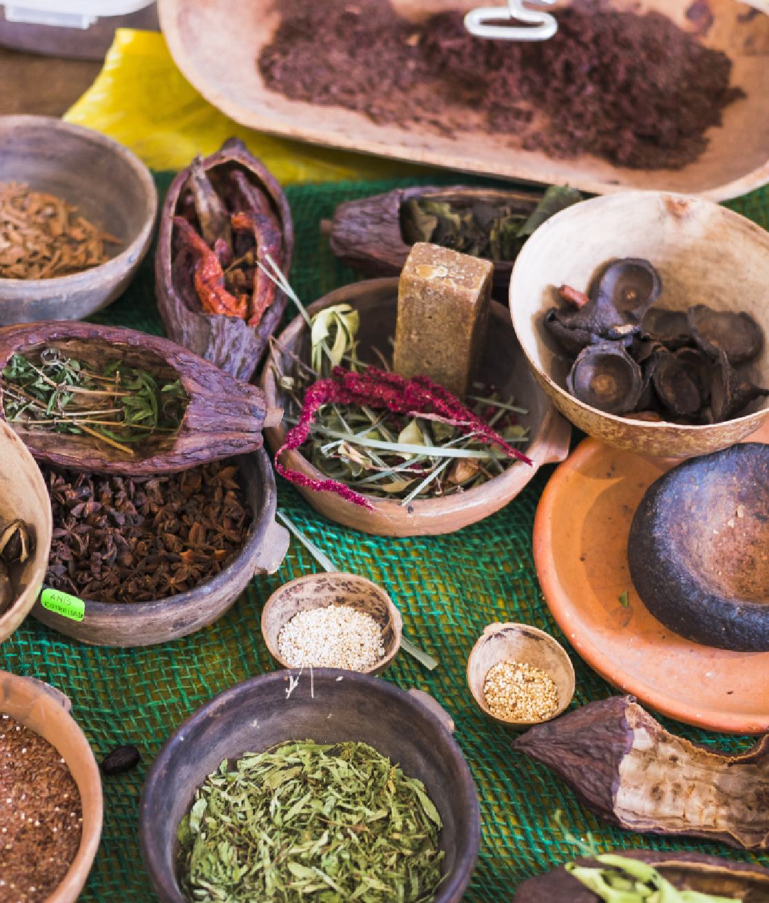 South American Herbs