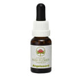 Australian Bush Flower Essences Angelsword 15ml