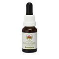 Australian Bush Flower Essences Bauhinia 15ml