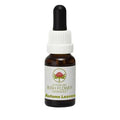 Australian Bush Flower Essences Autumn Leaves 15ml