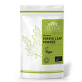 Ausha Organic Papaya Leaf Powder 100g