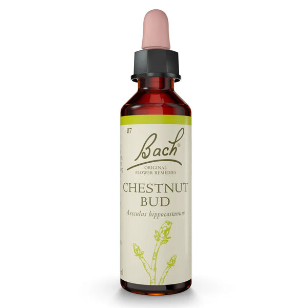 Bach Flower Remedy Chestnut Bud