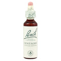 Bach Flower Remedy Centaury