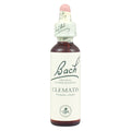 Bach Flower Remedy Clematis
