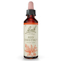 Bach Flower Remedy Red Chestnut