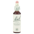 Bach Flower Remedy Gentian