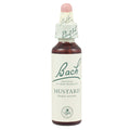 Bach Flower Remedy Mustard