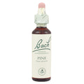 Bach Flower Remedy Pine