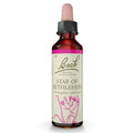Bach Flower Remedy Star Of Bethlehem