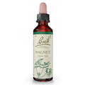 Bach Flower Remedy Walnut