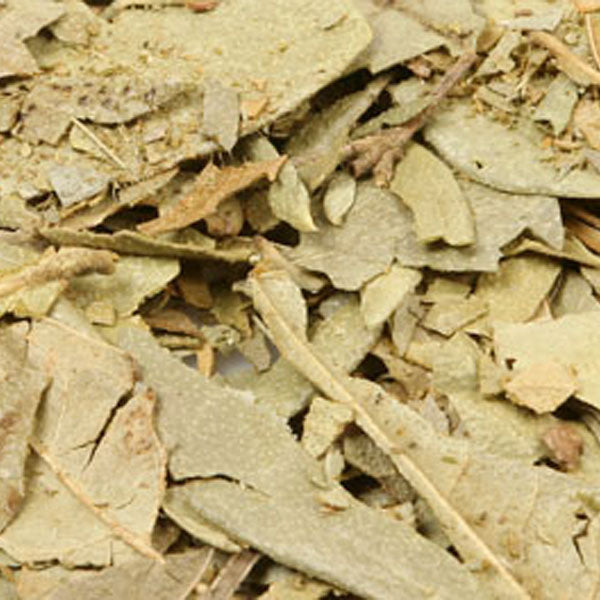 Baldwins Boldo Leaves ( Peumus Boldo )