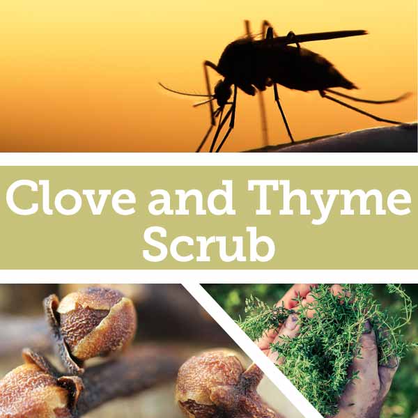 Baldwins Remedy Creator - Clove and Thyme Scrub