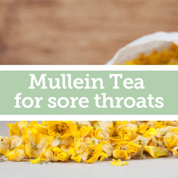 Baldwins Remedy Creator - Mullein Tea for Sore Throats