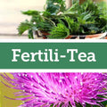Baldwins Remedy Creator - Fertili-Tea