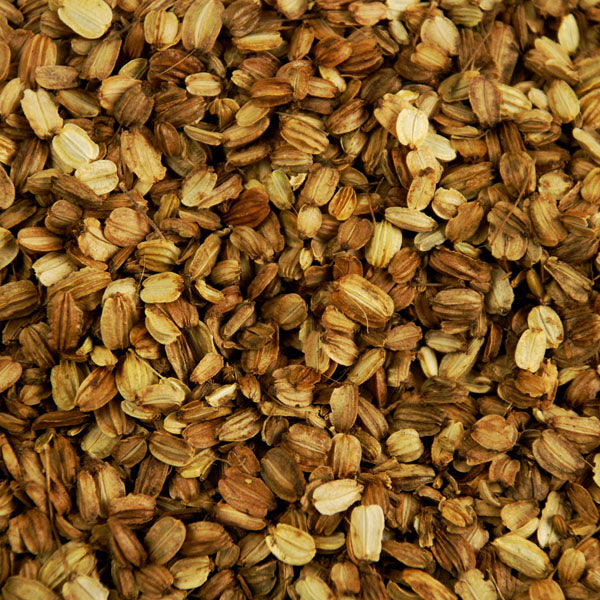 Baldwins Angelica Seed ( Angelica Officinalis )