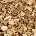 Baldwins Calamus Root ( Acorus Calamus )
