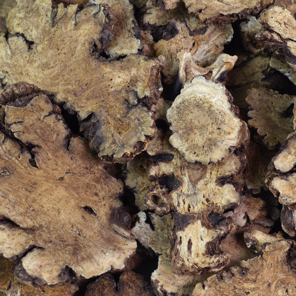 Baldwins Ligusticum (Chuan Xiong) Chinese Herb