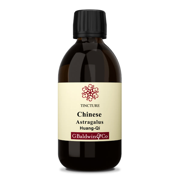 Baldwins Astragalus (huang Qi) Chinese Herbal Tincture