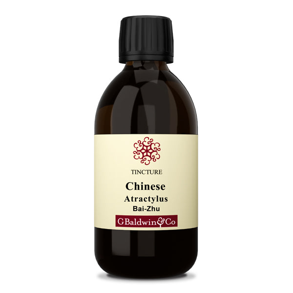 Baldwins Atractylus (bai-zhu) Chinese Herbal Tincture
