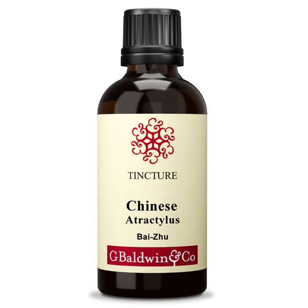 Baldwins Atractylus (bai-zhu) Chinese Herbal Tincture