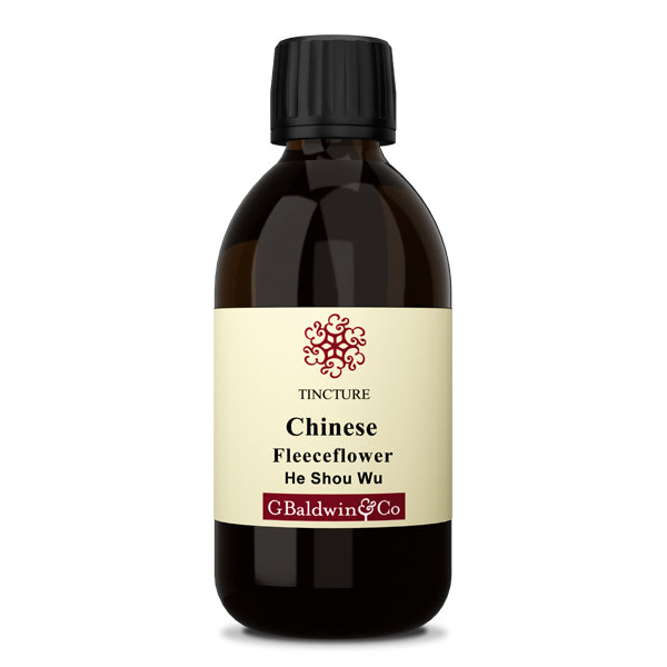 Baldwins Fleeceflower Root (he Shu Wu) ( Polygonum Multiflorum ) Chinese Herbal Tincture