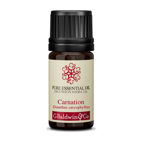 Baldwins Pure Essential Oil Of Carnation (dianthus Caryophyllus) Diluted In Jojoba Oil