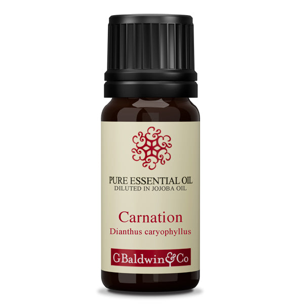 Baldwins Pure Essential Oil Of Carnation (dianthus Caryophyllus) Diluted In Jojoba Oil