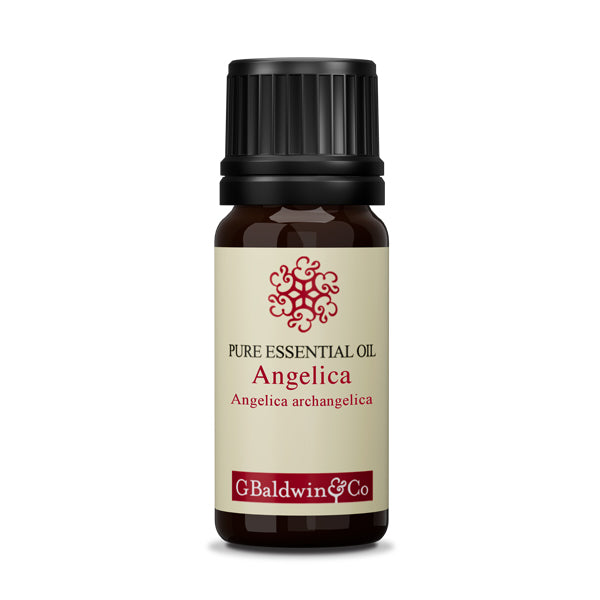 Baldwins Angelica (angelica Archangelica) Essential Oil