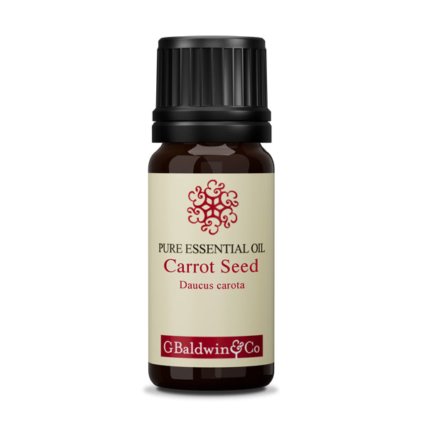 Baldwins Carrot Seed  (daucus Carota) Essential Oil