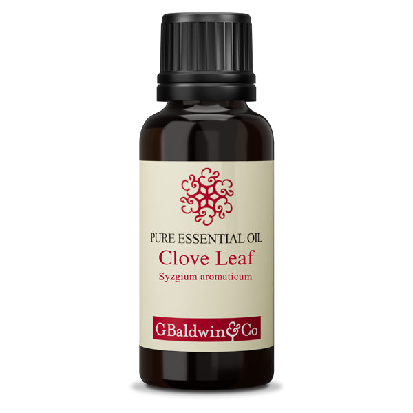 Baldwins Clove Leaf ( Syzgium aromaticum ) Essential Oil
