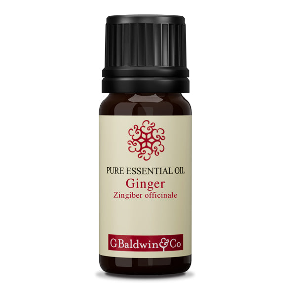 Baldwins Ginger (zingiber Officinale) Essential Oil
