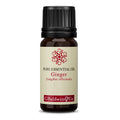 Baldwins Ginger (zingiber Officinale) Essential Oil