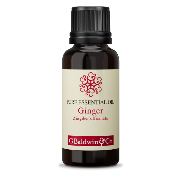 Baldwins Ginger (zingiber Officinale) Essential Oil